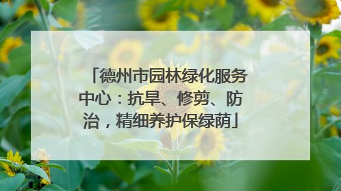 德州市园林绿化服务中心：抗旱、修剪、防治，精细养护保绿荫