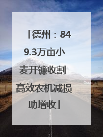 德州：849.3万亩小麦开镰收割 高效农机减损助增收