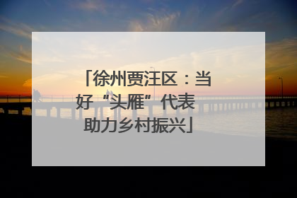 徐州贾汪区：当好“头雁”代表 助力乡村振兴
