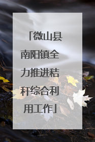 微山县南阳镇全力推进秸秆综合利用工作