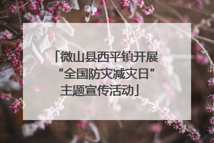 微山县西平镇开展“全国防灾减灾日”主题宣传活动