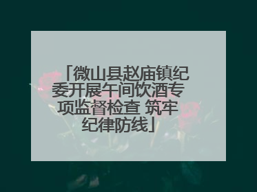微山县赵庙镇纪委开展午间饮酒专项监督检查 筑牢纪律防线