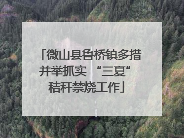 微山县鲁桥镇多措并举抓实 “三夏” 秸秆禁烧工作