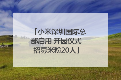 小米深圳国际总部启用 开园仪式招募米粉20人