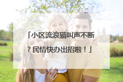 小区流浪猫叫声不断？民情快办出招啦！