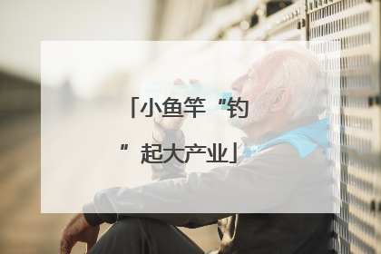 小鱼竿“钓”起大产业