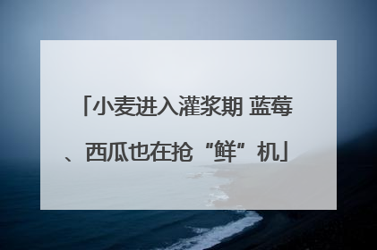 小麦进入灌浆期 蓝莓、西瓜也在抢“鲜”机