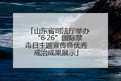 山东省司法厅举办“6·26”国际禁毒日主题宣传暨优秀戒治成果展示