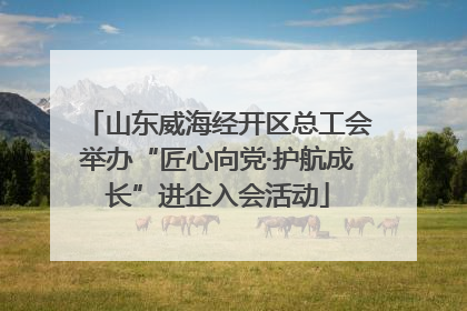 山东威海经开区总工会举办“匠心向党·护航成长”进企入会活动