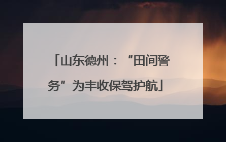 山东德州：“田间警务”为丰收保驾护航