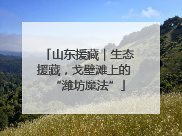 山东援藏｜生态援藏，戈壁滩上的“潍坊魔法”