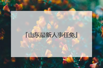 山东最新人事任免