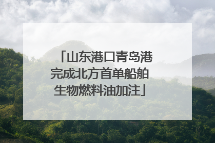 山东港口青岛港完成北方首单船舶生物燃料油加注