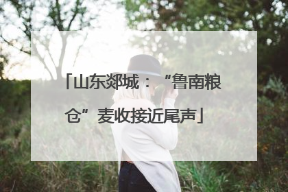 山东郯城：“鲁南粮仓”麦收接近尾声