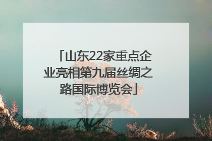 山东22家重点企业亮相第九届丝绸之路国际博览会