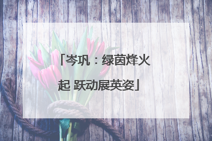 岑巩：绿茵烽火起 跃动展英姿