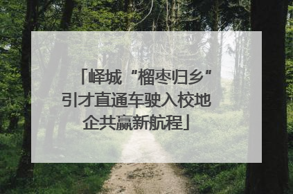 峄城“榴枣归乡”引才直通车驶入校地企共赢新航程