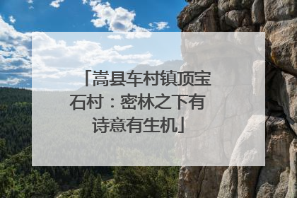 嵩县车村镇顶宝石村：密林之下有诗意有生机