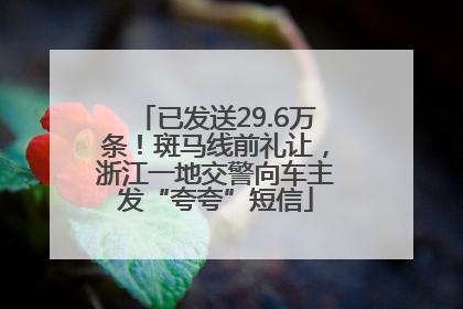 已发送29.6万条！斑马线前礼让，浙江一地交警向车主发“夸夸”短信