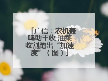 广信：农机轰鸣助丰收 油菜收割跑出“加速度”（图）