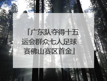 广东队夺得十五运会群众七人足球赛佛山赛区首金