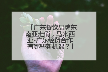 广东餐饮品牌东南亚走俏，马来西亚-广东经贸合作有哪些新机遇？