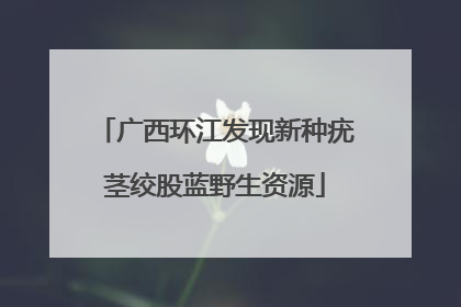广西环江发现新种疣茎绞股蓝野生资源