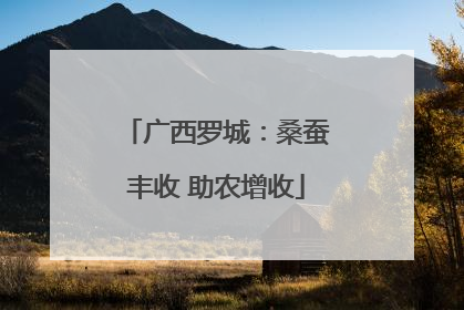 广西罗城：桑蚕丰收 助农增收