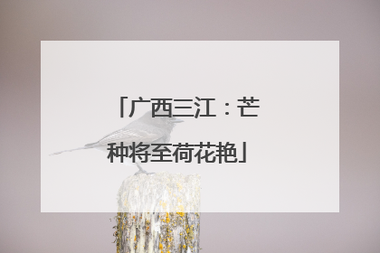 广西三江：芒种将至荷花艳