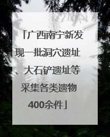 广西南宁新发现一批洞穴遗址、大石铲遗址等 采集各类遗物400余件