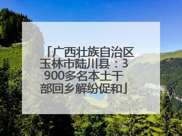 广西壮族自治区玉林市陆川县：3900多名本土干部回乡解纷促和