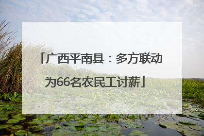 广西平南县：多方联动为66名农民工讨薪
