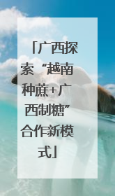 广西探索“越南种蔗+广西制糖”合作新模式