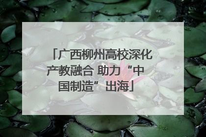 广西柳州高校深化产教融合 助力“中国制造”出海
