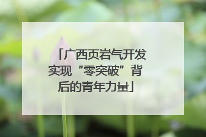 广西页岩气开发实现“零突破”背后的青年力量