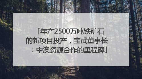 年产2500万吨铁矿石的新项目投产，宝武董事长：中澳资源合作的里程碑