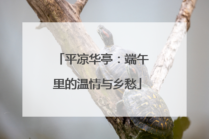 平凉华亭：端午里的温情与乡愁