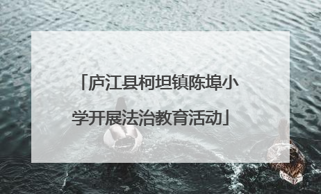 庐江县柯坦镇陈埠小学开展法治教育活动
