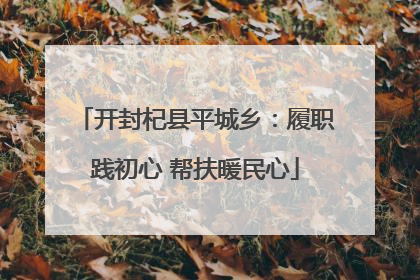开封杞县平城乡：履职践初心 帮扶暖民心