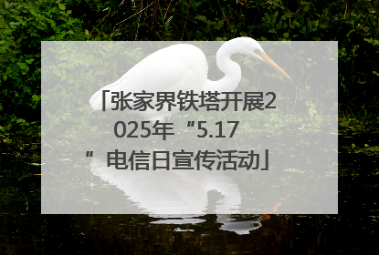 张家界铁塔开展2025年“5.17”电信日宣传活动