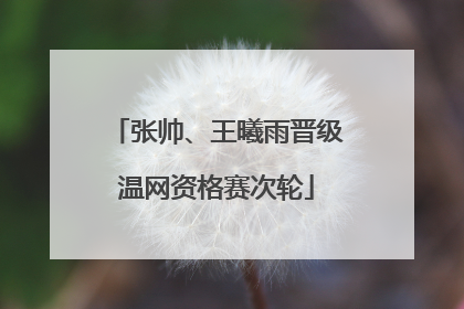 张帅、王曦雨晋级温网资格赛次轮