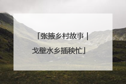 张掖乡村故事｜戈壁水乡插秧忙
