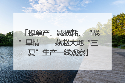 提单产、减损耗、“战”旱情——燕赵大地“三夏”生产一线观察