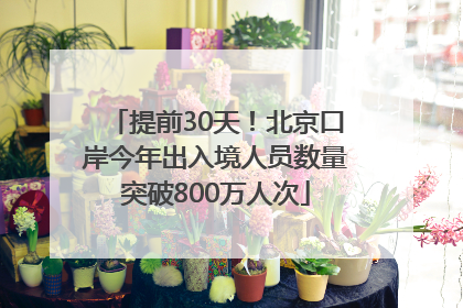 提前30天！北京口岸今年出入境人员数量突破800万人次