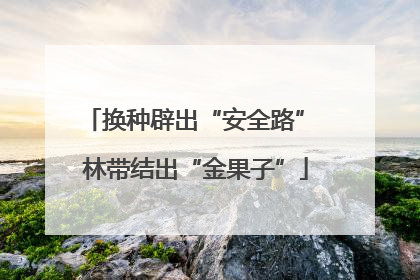 换种辟出“安全路” 林带结出“金果子”