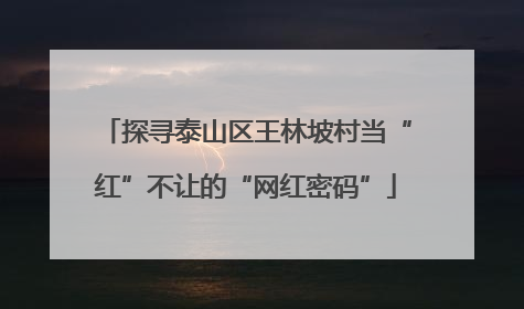 探寻泰山区王林坡村当“红”不让的“网红密码”