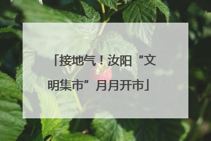 接地气！汝阳“文明集市”月月开市