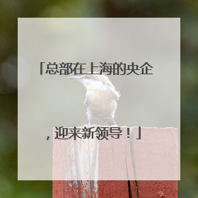 总部在上海的央企，迎来新领导！