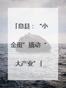 息县：“小金蛋”撬动“大产业”