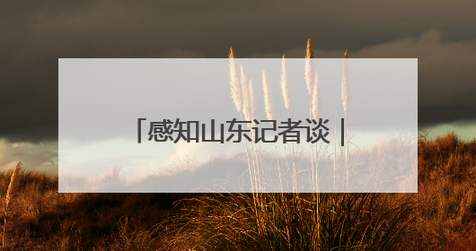 感知山东记者谈｜17184个民生支点 丈量出“服务淄博”的文明温度